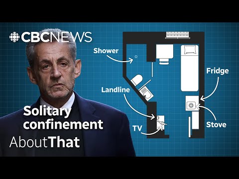 Thumbnail for Why French ex-president Nicolas Sarkozy is now in jail | About That