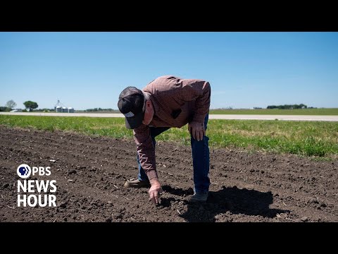 Thumbnail for Trump considers $10 billion bailout for farmers as tariffs disrupt the market