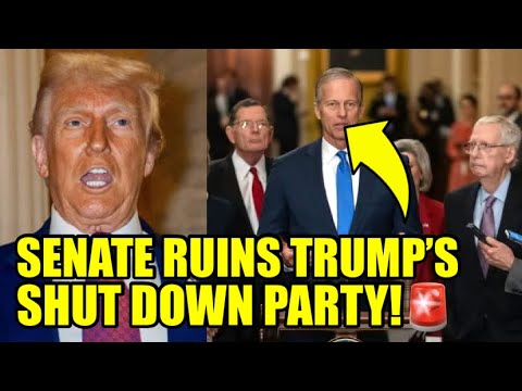 Thumbnail for The SENATE Just Dropped A SHUTDOWN BOMB On Trump
