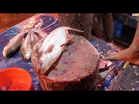 Thumbnail for Uzzal Fish Cutting is live!various types of fish cutting 🐠🐟🐠🐟