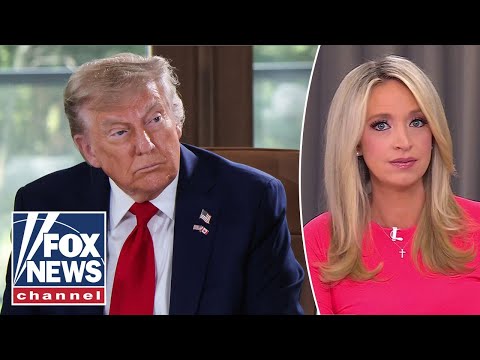 Thumbnail for McEnany: This could turn into DOGE 2.0