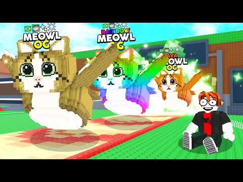 Thumbnail for 🦉 MEOWL, MIETETEIRA BICICLETEIRA, RANG RING BUS ROUBE UM BRAINROT ATUALIZAÇÃO 🐈🔥 (NOVO OG)