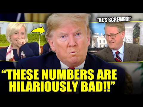 Thumbnail for New Poll STUNS Hosts, Spells DISASTER For Trump And MAGA