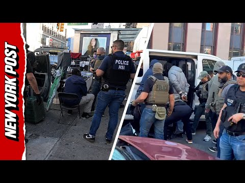 Thumbnail for ICE Agents Raid Canal Street in NYC's Chinatown