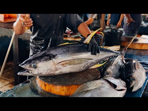 Thumbnail for Tuna Cutting Show – Skill & Precision in Real Time