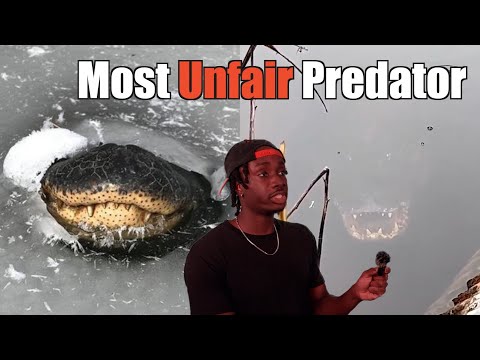 Thumbnail for Why This is the Scariest Predator of All Time