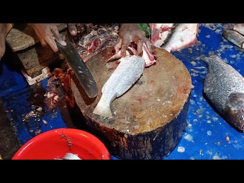 Thumbnail for Uzzal Fish Cutting is live!various types of fish cutting 🐠🐟🐠🐟🐠
