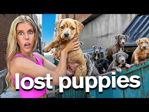 Thumbnail for I Found 8 Lost Puppies in a Dumpster