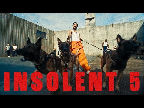 Thumbnail for Bigflo & Oli - INSOLENT #5