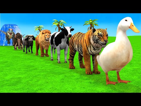 Thumbnail for Long Slide Game With Elephant Gorilla Buffalo Hippopotamus Tiger - 3d Animal Game - Funny 3d Animals