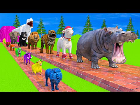 Thumbnail for Long Slide Game With Elephant Gorilla Buffalo Hippopotamus Tiger - 3d Animal Game - Funny 3d Animals