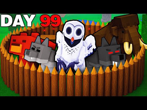 Thumbnail for I Built a SAFE ENTITY Base in 99 Nights in the Forest!