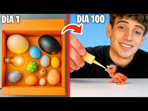 Thumbnail for 🐣Rescaté 100 Huevos Misteriosos y Nacieron🐣