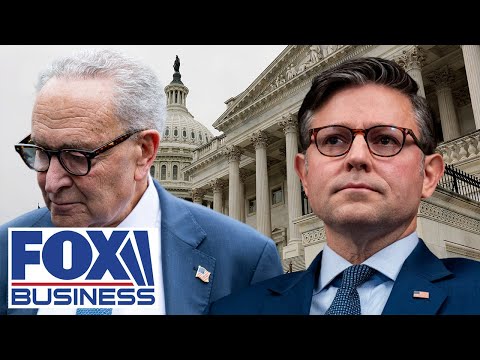 Thumbnail for Speaker Johnson REVEALS the reason why Schumer is leading Dems off shutdown cliff