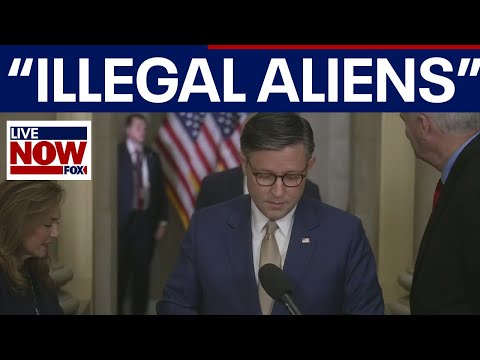 Thumbnail for Speaker Johnson on shutdown: Dems want healthcare for "illegals"