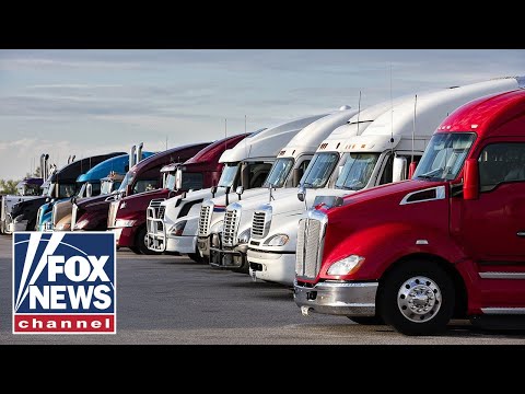 Thumbnail for ICE bust 120 illegal immigrants in highway crackdown