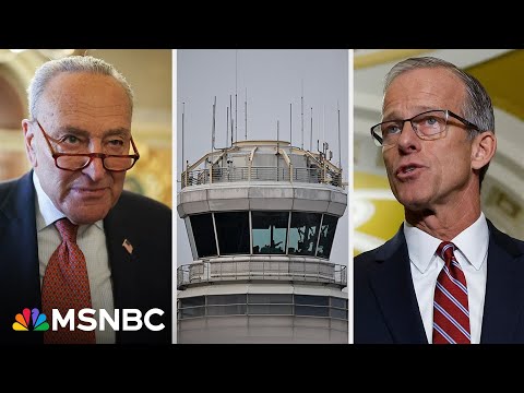 Thumbnail for 'Hitting home': Trump's GOP starting to feel the shutdown heat as Americans feel the pain