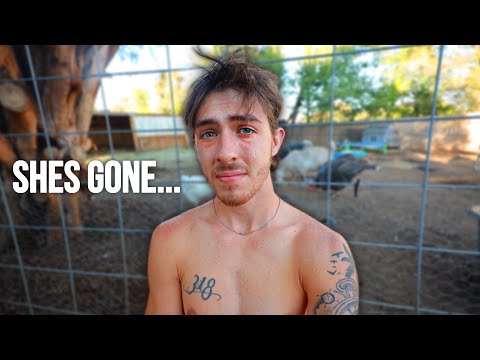 Thumbnail for My Baby Pig Was Stolen…
