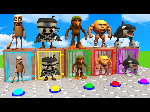 Thumbnail for Long Slide Game With Cow Elephant Gorilla Hippopotamus Tiger 3d Animal Game Funny 3d Animals