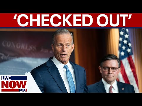 Thumbnail for Thune says Schumer is ‘checked out’ in regard to a shutdown deal | LiveNOW from FOX