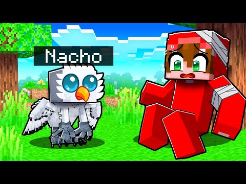 Thumbnail for Jugando como un BÚHO BEBÉ Perdido en el BOSQUE en Minecraft!