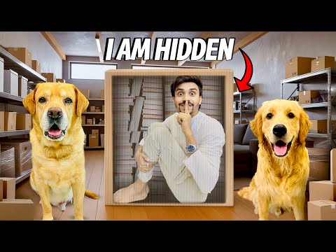 Thumbnail for I Hid Inside The Box | Can Leo & Reo Find Me? | Anant Rastogi 