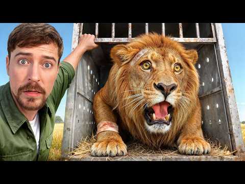 Thumbnail for I Saved 1,000 Animals From Dying