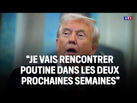 Thumbnail for Trump prévoit de rencontrer Poutine "dans les deux prochaines semaines"｜LCI