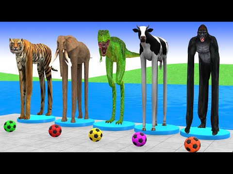 Thumbnail for Long Slide Game With Cow Elephant Gorilla Hippopotamus Tiger 3d Animal Game Funny 3d Animals