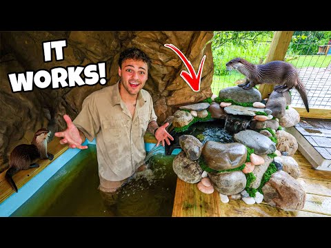 Thumbnail for The OTTER ENCLOSURE is READY for BABIES!!