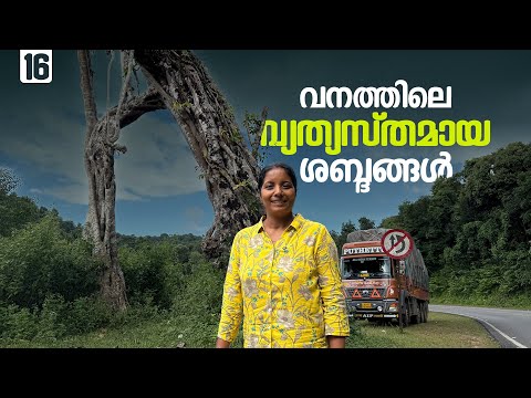 Thumbnail for Lump Charcoal Making in Meghalaya EP - 16 I Tripura Trip I Puthettu Travel Vlog I