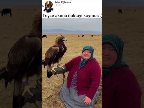 Thumbnail for her kuşun eti yenmez  😂