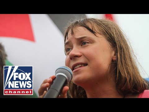 Thumbnail for Greta Thunberg expected to be deported back to Europe
