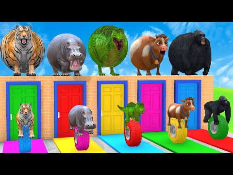 Thumbnail for Long Slide Game with Cow Elephant Gorilla Hippopotamus Tiger 3d Animal Game Funny 3d Animals