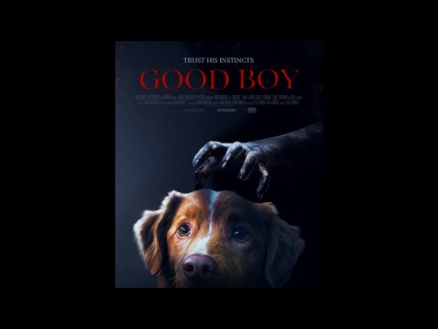 Thumbnail for Was the Dog Horror Movie Any Good