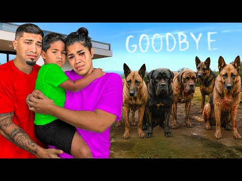 Thumbnail for We Have To Get Rid Of Our DOGS! *SAD DAY*