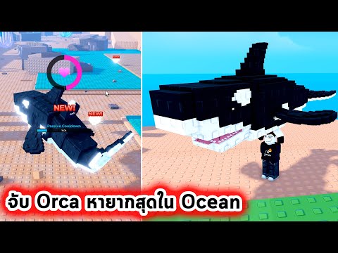 Thumbnail for จับ Orca ได้ตัวหายากที่สุดในท้องทะเล Roblox Raise Animals