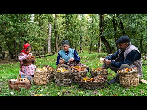 Thumbnail for Autumn Forest Mushrooms — Collecting and Pickling 🍁