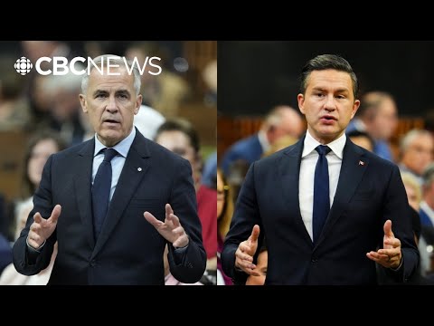 Thumbnail for Carney and Poilievre spar over PM’s 'meeting of the minds' with U.S. president