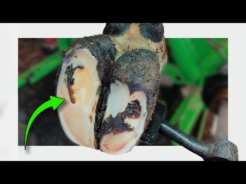Thumbnail for this LEAKAGE must come from somewhere!