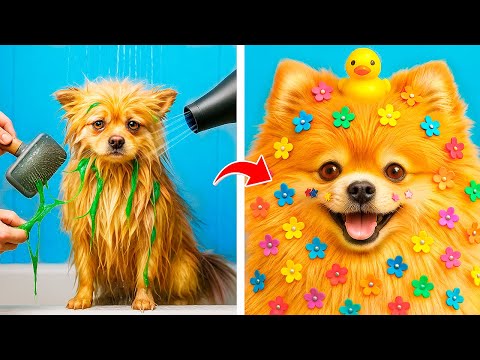 Thumbnail for I Adopted a Dog! Life Hacks for Pet Owners