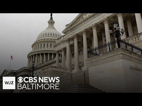 Thumbnail for Trump administration begins firings with government shutdown negotiations at standstill