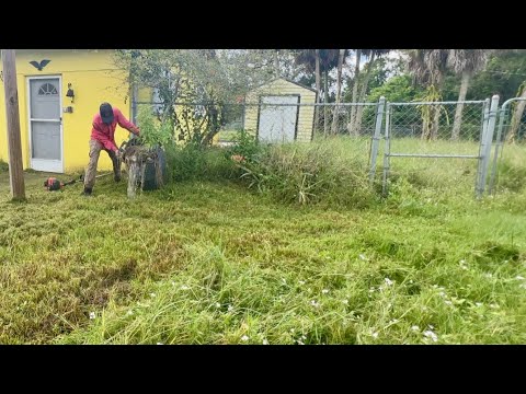 Thumbnail for THIS Kind of VIDEO Doesn’t Go VIRAL Anymore.