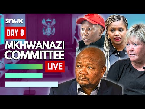 Thumbnail for Mchunu states case in Parliament (no breaks)