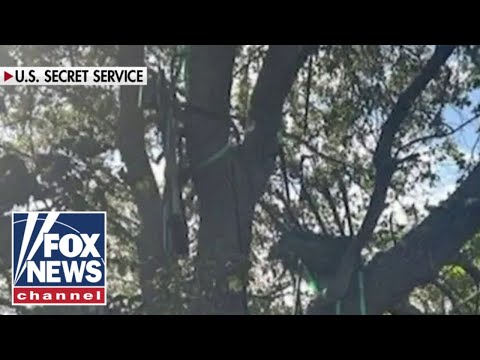 Thumbnail for NEW: FBI investigating elevated hunting stand at Air Force One landing zone