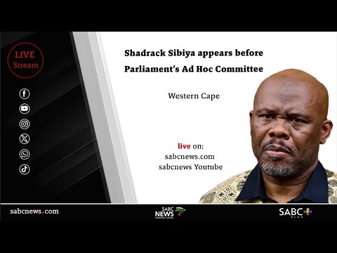 Thumbnail for Parliament Ad Hoc Committee | Deputy National Commissioner Lt-Gen. Sibiya  Day 1