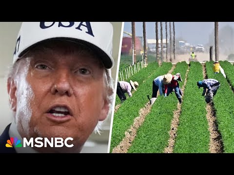Thumbnail for Soybean farmer slams Trump's Argentina bail out: 'How is this a good deal for me?'