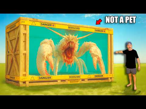Thumbnail for Buying a Lobster Off the Web to Keep as a Pet