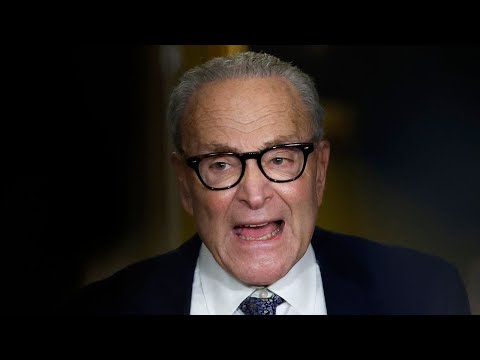 Thumbnail for 'End Of The Line' - Trump Issues Brutal Response To Schumer After 'No Kings' Rally