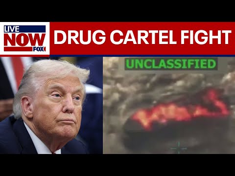 Thumbnail for Trump: U.S. in 'armed conflict' with drug cartels | LiveNOW from FOX
